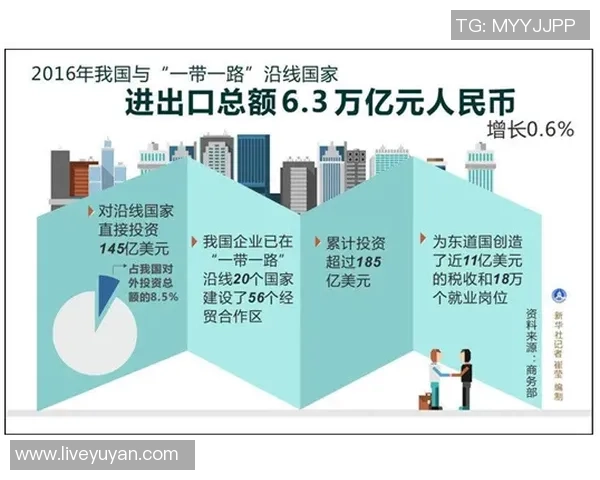 中国与新西兰2018年精彩对决回顾与分析